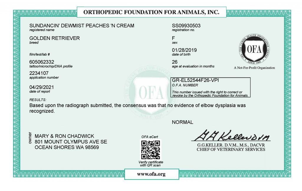Peaches OFA Elbows Certificate