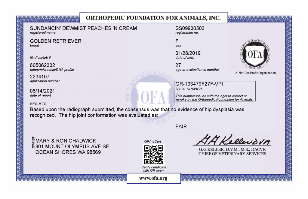 Peaches OFA Hip Certificate