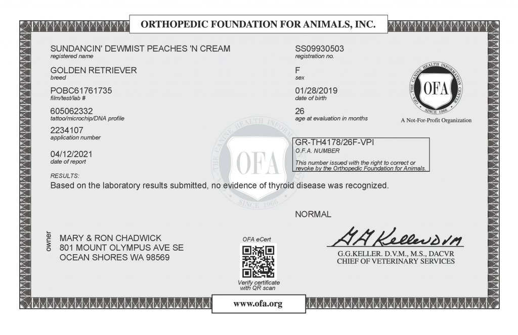 Peaches OFA Thyroid Certificate
